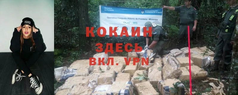 Где продают наркотики Покровск Alpha-PVP  Cocaine  ГАШ  Бошки Шишки 